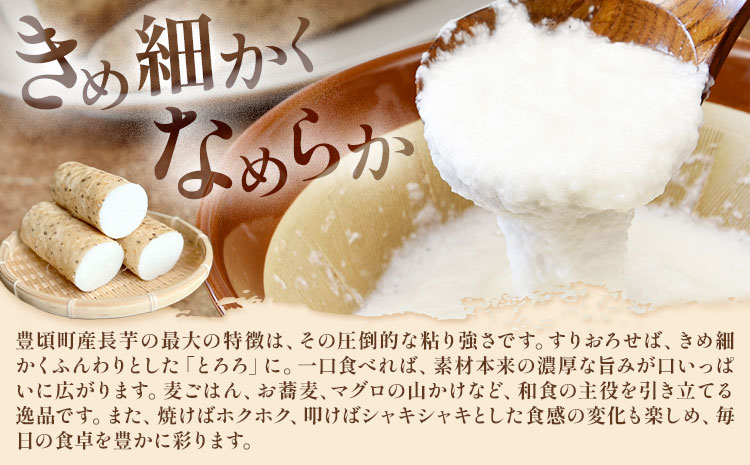 【2回定期便】2026年 先行予約【訳あり】十勝豊頃産 ながいも 10kg 植村農場 《12月上旬-2月末頃出荷予定》北海道 豊頃町 長芋 山芋 とろろ 野菜 旬 特産 産地直送 農家直送 家庭用 ま