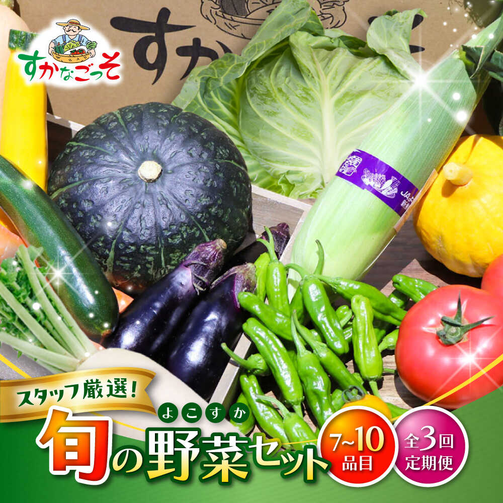 【ふるさと納税】【全3回定期便】よこすか野菜セット すかなボックス / 野菜 やさい 野菜ボックス 野菜セット 野菜詰め合わせ 野菜BOX 【JAよこすか葉山】[ASCB002]