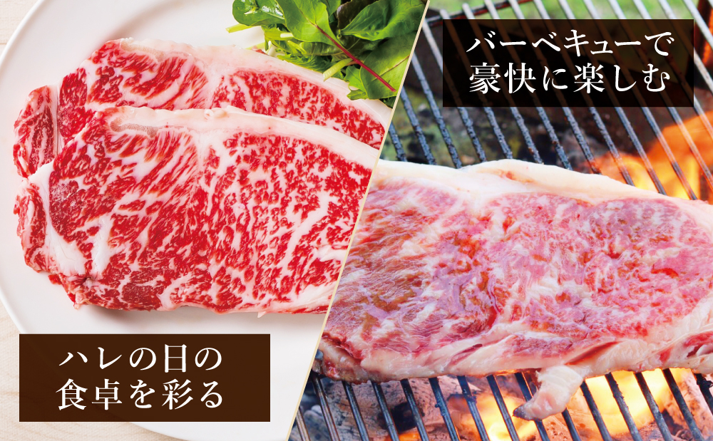 【鹿児島県産】4等級以上黒毛和牛 サーロインステーキ 約360g（180g×2） 4等級 5等級 サーロイン ステーキ BBQ 焼肉 肉 牛肉 ギフト 贈答 冷凍 スターゼン 南さつま市