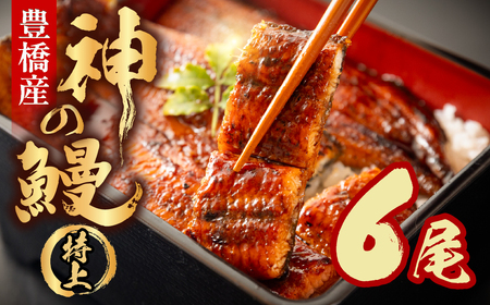 うなぎの新ブランド、開幕。『神の鰻』6尾 国産 特上 