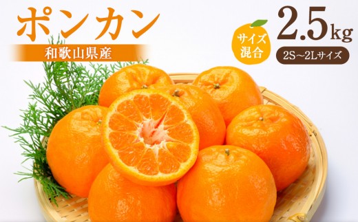 ［先行予約］ポンカン 約2.5kg サイズ混合［2026年1月20日から順次発送予定］