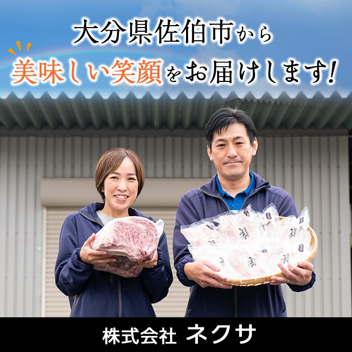 ＜定期便・全4回＞おおいた和牛 希少 赤身 焼肉 お楽しみ 定期便 (3ヶ月ごとにお届け) 国産 牛肉 肉 霜降り A4 ヒレ ランプ 大トロカルビ ミスジ 和牛 ブランド牛 冷凍 大分県 佐伯市【DH247】【(株)ネクサ】