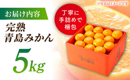 【先行予約】完熟 青島 みかん 約5kg【合同会社 社方園】九州産みかん ミカン 柑橘  国産  山鹿 果物 フルーツ [ZBZ003]