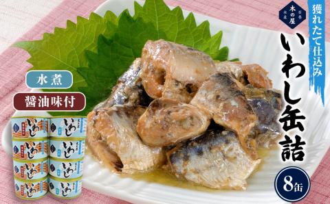 いわし缶詰 木の屋 食べ比べ 2種8缶 セット 水煮 醤油 イワシ ノンフローズン 魚 青魚 缶詰 常温保存 防災 非常食 キャンプ アウトドア 宮城県 石巻市