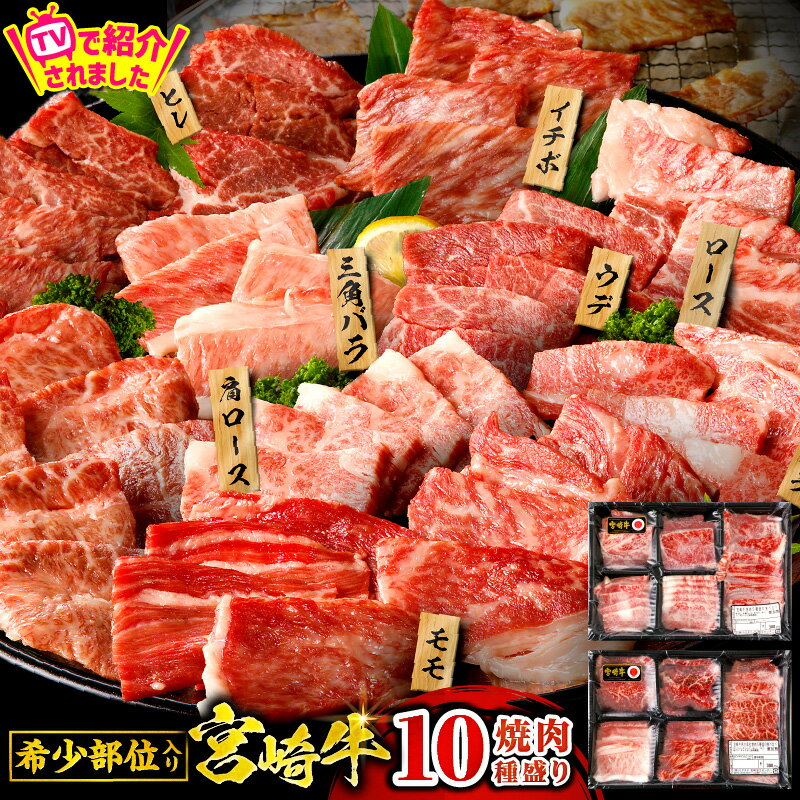 【ふるさと納税】TBSテレビ系列「ひるおび」で紹介！高評価★4.66【発送時期が選べる】宮崎牛焼肉10種盛り合わせ 宮崎牛 A4 焼肉 10種 食べ比べ お肉 セット 焼肉セット 牛肉 赤身 肉 国産