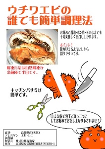 ＜数量限定＞ウチワエビ（ボイル）14匹前後 1000gセット【S247】