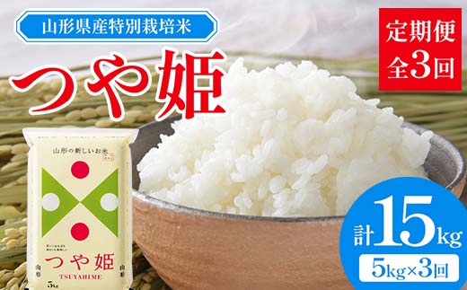 山形県産 特別栽培米 つや姫 5kg 全3回定期便 F2Y-3914