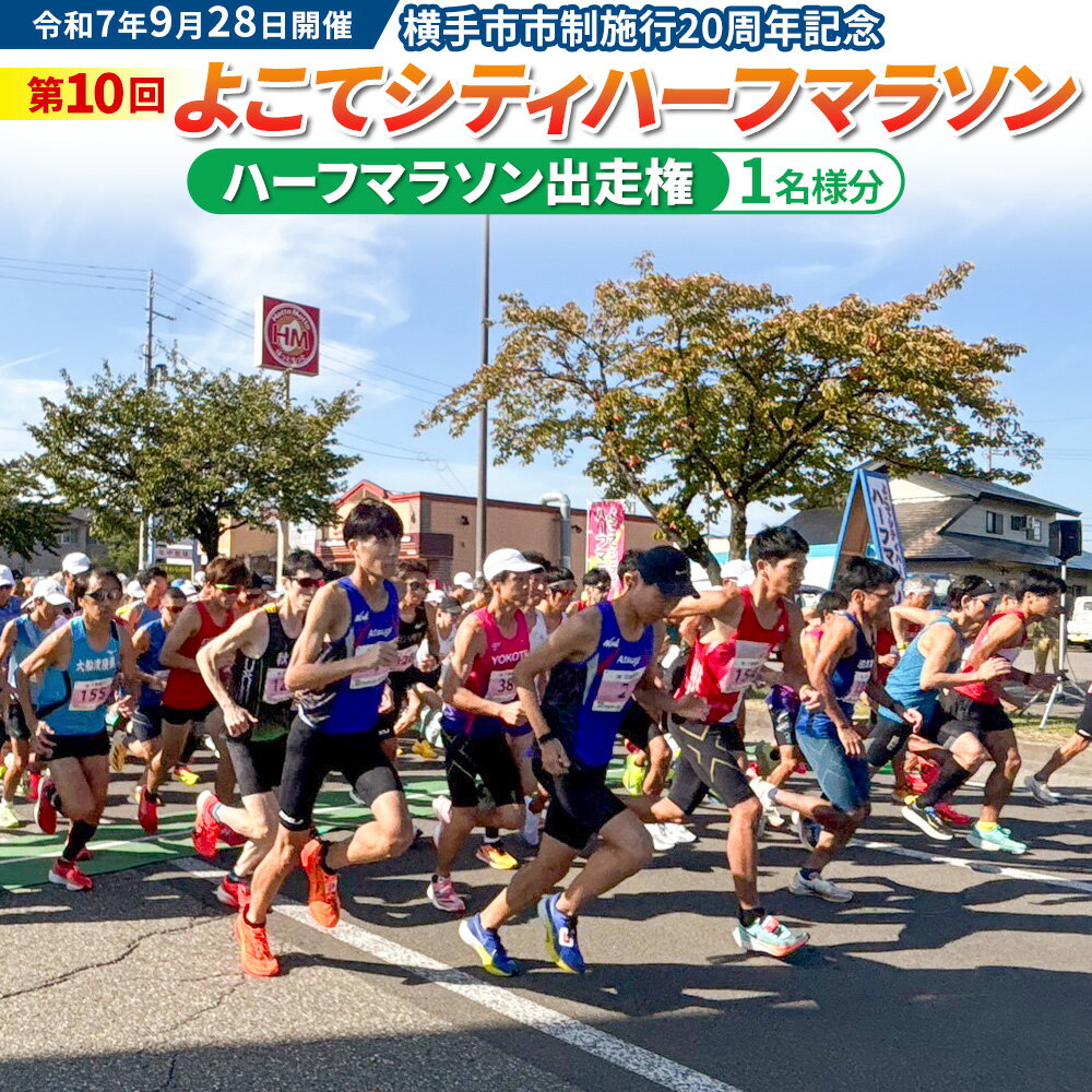 【ふるさと納税】よこてシティハーフマラソン ハーフマラソン出走権 1名様分 令和7年9月28日開催 横手市市制施行20周年記念 第10回 レターパックライト