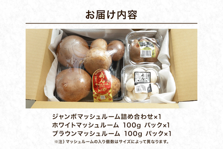 島人マッシュルームセット（ジャンボ×1ホワイト・ブラウン各100gセット） マッシュルーム きのこ詰合せセット ホワイトマッシュルーム ブラウンマッシュルーム 栄養豊富 低カロリー 糸満市 沖縄県 1