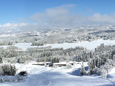 白い森の白いわらび餅（2箱）