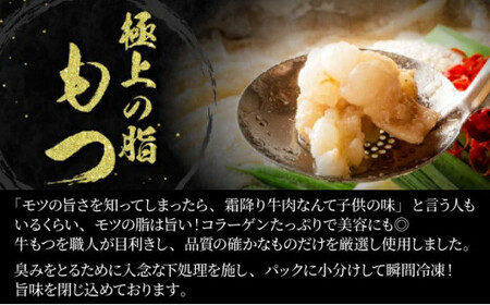 【2025年4月発送】2〜3人前 国産牛モツ入り 絶品塩もつ鍋（300g）