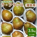 【ふるさと納税】西洋梨 （ラ・フランス） 3.5kg 贈答用 サイズ混合 秀品・特秀品混合 果物 フルーツ 洋なし 産地直送 山形 お取り寄せ 送料無料 山形県 上山市 0142-2413