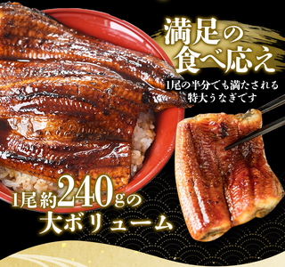 鰻 うなぎ うなぎの蒲焼 炭火焼き 炭火 / 1尾で約240gのビッグサイズ うなぎ蒲焼 2尾 計約480g （タレ・山椒付き） 中国産 【nks700】