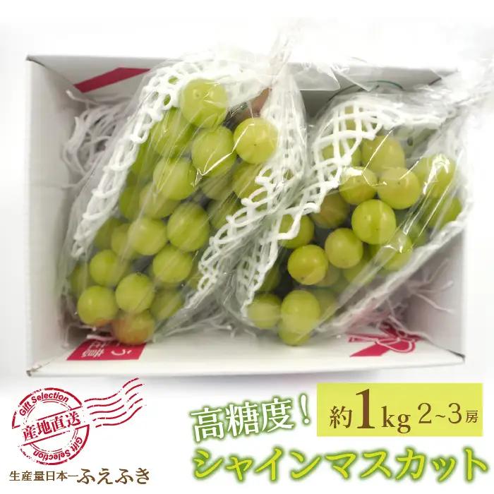 【2026年発送★先行予約】厳選！ 山梨県笛吹市産シャインマスカット 約1.0kg(2～3房) 156-009-26y