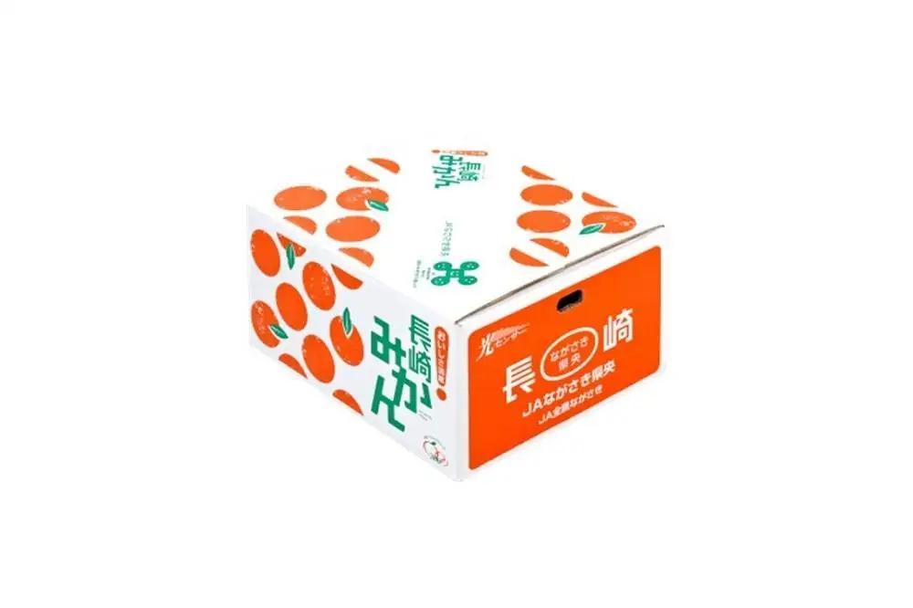 【糖度12度以上！】長崎県産 みかん 味ホープ 約5kg＜期間限定／先行予約＞【2026年11月中旬以降順次発送】｜みかん 柑橘