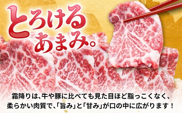 純国産 熊本馬刺し 霜降り馬刺し「特選」 計約300g
