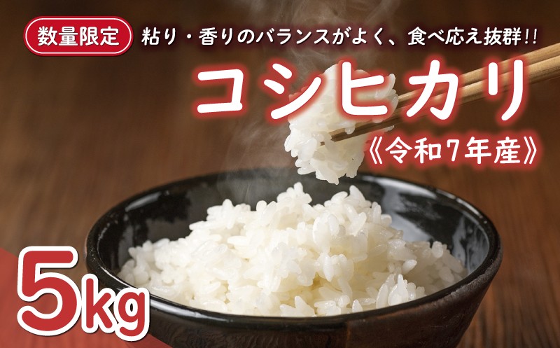 
            先行予約 新米 令和7年産 コシヒカリ 5kg 12000円 お米 白米 精米 米 こめ 産地直送 国産 農家直送 期間限定 数量限定 特産品 先行 事前 受付 令和7年度産 2025年産 もっちり 粘り 甘み おいしい おにぎり こしひかり 内祝い お祝い 贈答品 お返し プレゼント ギフト 土産 御礼 お礼 お取り寄せ 大樹農園 愛南町 愛媛県
          