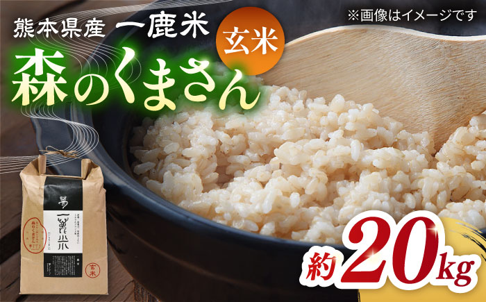 【先行予約】【天日塩を使用】一鹿米 森のくまさん 玄米 20kg【株式会社 夢アグリ】 [ZCL002]