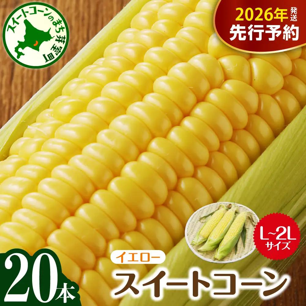 とうもろこし イエロー種 L ～ 2L 20本 トウモロコシ