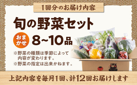【全12回定期便】旬な野菜おまかせ詰め合わせセット【合志物産販売 志来菜彩】[AYCA002]