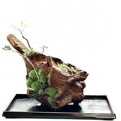 ふるさと納税 豊川市 苔盆景流木山水画は、自然の美しさを凝縮した、心が和むアイテムです。 |  | 03