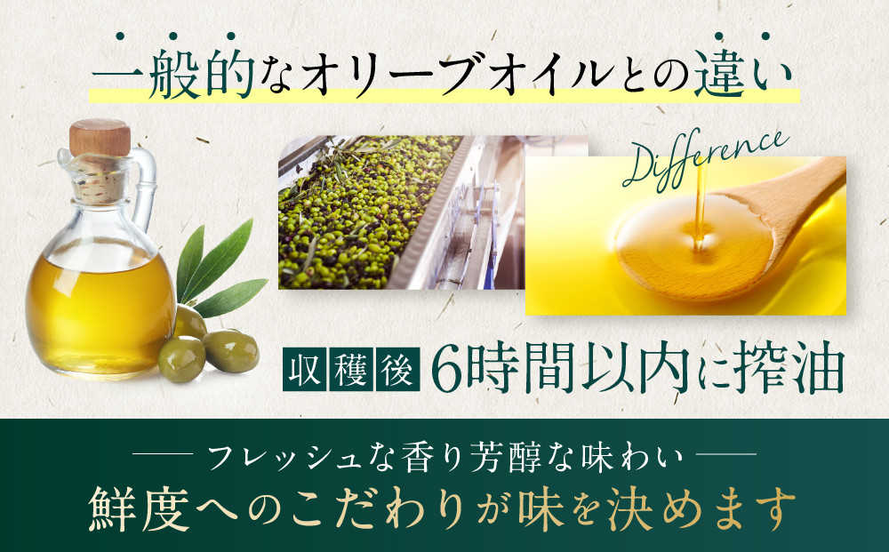 エキストラバージンオリーブオイル  (1L×2本) スペイン産