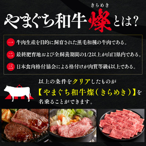 YF04 【共通返礼品】やまぐち和牛燦（きらめき）肩ローススライス（500g）
