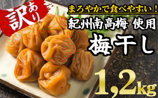 期間限定９月末まで受け付け【規格外】キズ・やぶれ有り！紀州南高梅 まろやか梅干し 大容量1.2kg（600g×２パック）訳あり ご家庭用 完熟 大粒 小粒 小分け II-80