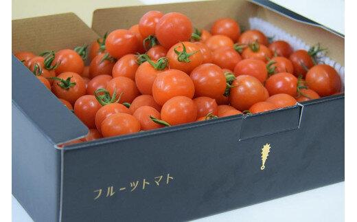 802.旨みたっぷり酸味の少ないフルーツトマト 3.0kg※着日指定不可※離島への配送不可※