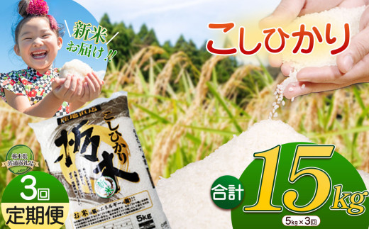 【3か月定期便】令和6年 新米 栃木県産 こしひかり 5kg | ふるさと 納税 お米 精米 白米 玄米 大粒 共通返礼品 送料無料 那珂川町 栃木県