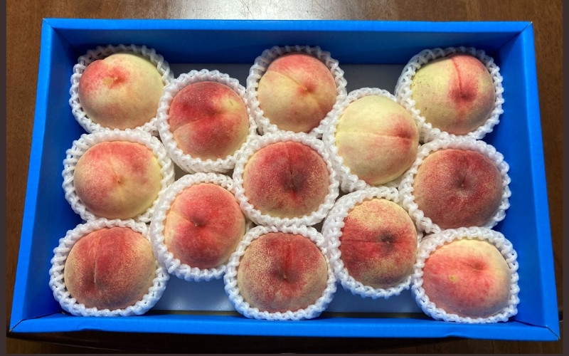 
            和歌山県産の桃 約4kg（11~15個） 【2025年7月上旬～8月上旬発送】 【Ei2】
          