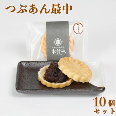 ふるさと納税 杵築市 和菓子 木付やのつぶあん最中(もなか)10個セット