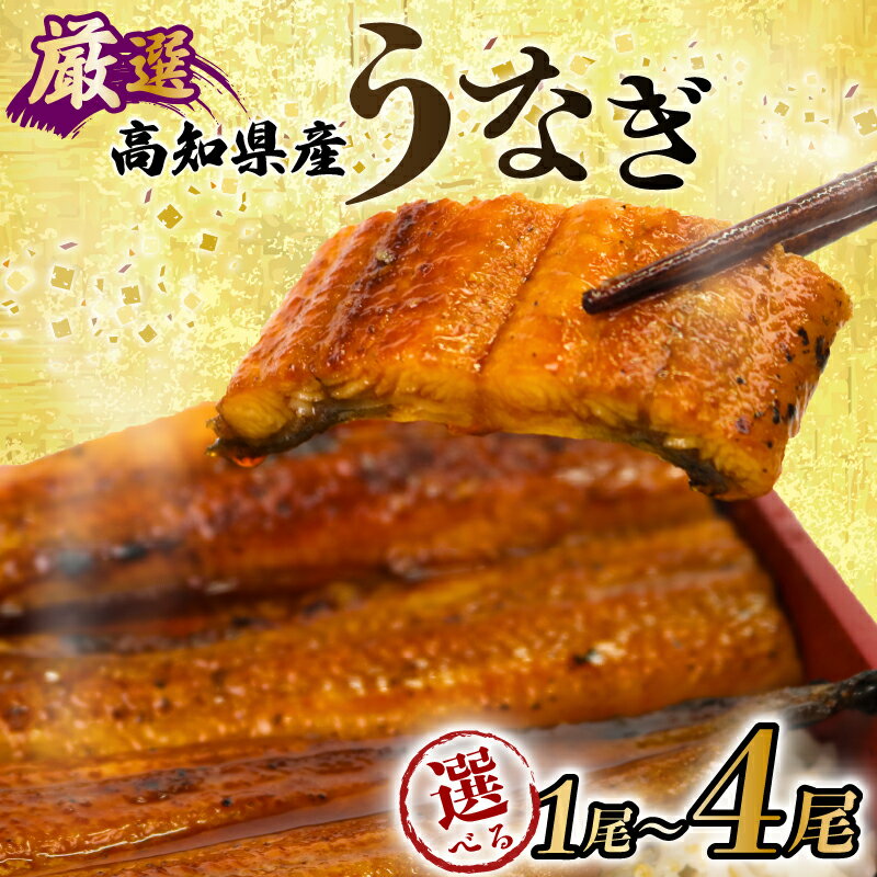 【ふるさと納税】 厳選 うなぎ 1尾 約160g〜170g タレ付き ウナギ 鰻 蒲焼き かば焼き 加工品 魚 魚介類 ヤマジュウ 送料無料 yj005