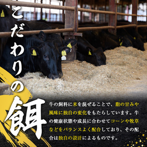 瑞穂農場で育てた常陸牛ローススライスセット 約700g ロース 牛肉 霜降り ブランド牛 常陸牛 A4 A5 茨城県 A4ランク A5ランク 冷凍配送 焼肉 国産 ステーキ BBQ バーベキュー 和牛