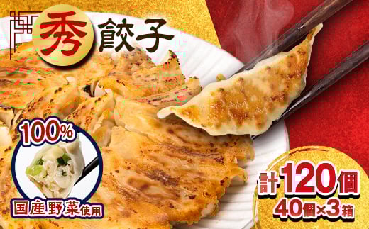 秀餃子 3箱【1622598】