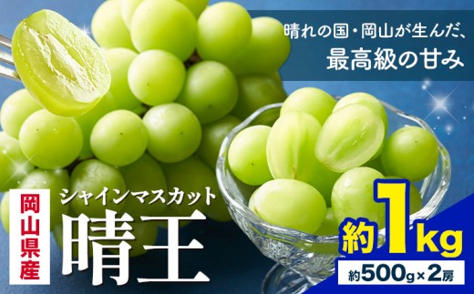 【2026年先行予約】 岡山県産 シャインマスカット 晴王 計 1kg 2房 株式会社はちや《2026年7月上旬‐8月下旬頃出荷》岡山県 浅口市 ぶどう 葡萄 フルーツ ギフト 果物 デザート 国産【配送不可地域あり】