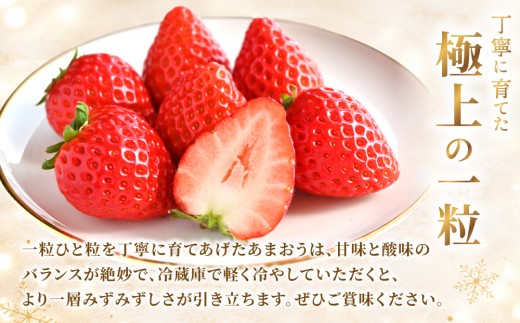 福岡県産あまおう6パック（約250g×6パック）| あまおう いちご 苺 イチゴ 福岡県産 福岡 国産 大粒 ブランドいちご フルーツ 果物 くだもの 甘い ジューシー 旬 冬