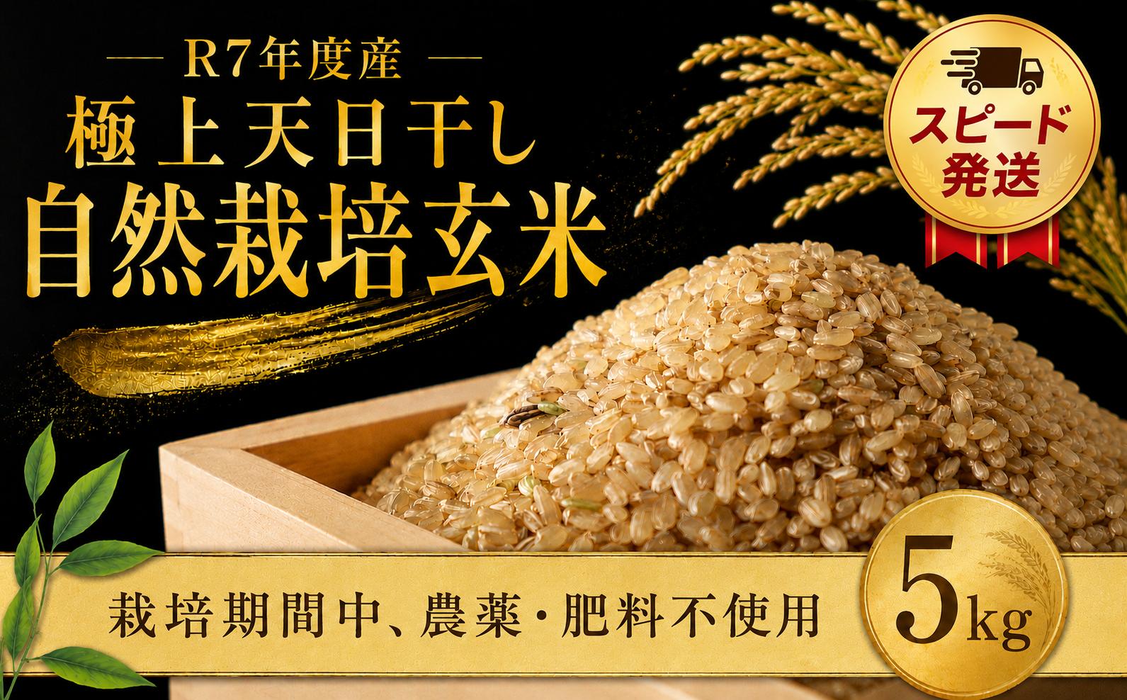 
                  玄米 5kg げんまい 天日干 【スピード発送】自然米 自然栽培米 自然栽培 甘さ お米 オコメ おこめ こめ 米 コメごはん ご飯 飯 ご飯 ライス 5キロ おむすび おにぎり美味しい こだわり グルメ おすすめ 贈答 取り寄せ お取り寄せ ギフト 国産 国産米 千葉米 産地直送 まこと屋 千葉県 香取市 MKT006_R7
                