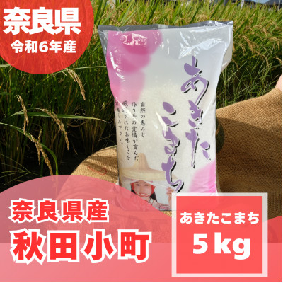 
            ＜令和6年産＞奈良県産 あきたこまち 精米 5kg【1454618】
          