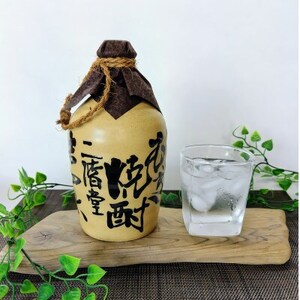 大分むぎ焼酎　二階堂吉四六つぼ25度2本とやつがい30度2本(720ml)4本セット【1455794】