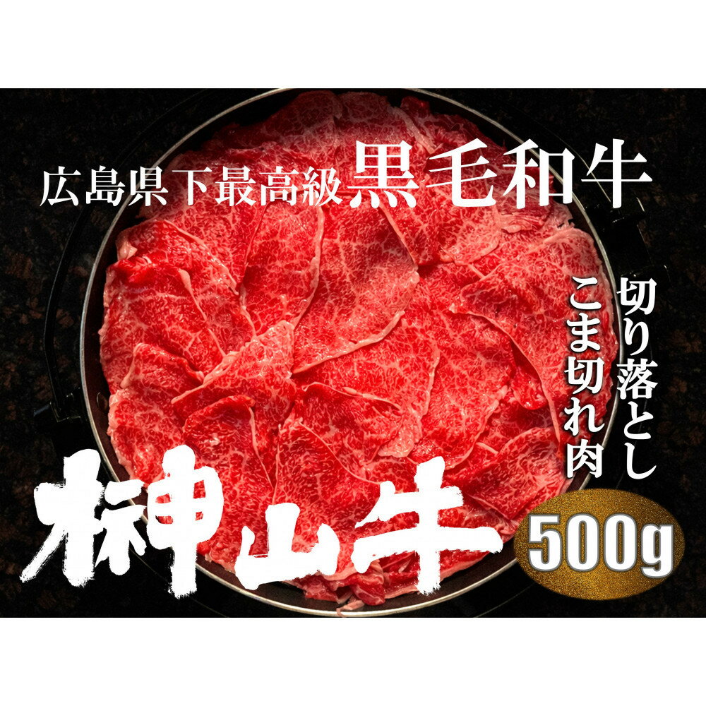 【ふるさと納税】【訳あり】希少黒毛和牛「榊山牛」こま切れ肉500g（250g×2）すき焼き しゃぶしゃぶ 肉じゃが 黒毛和牛 グルメ おすすめ