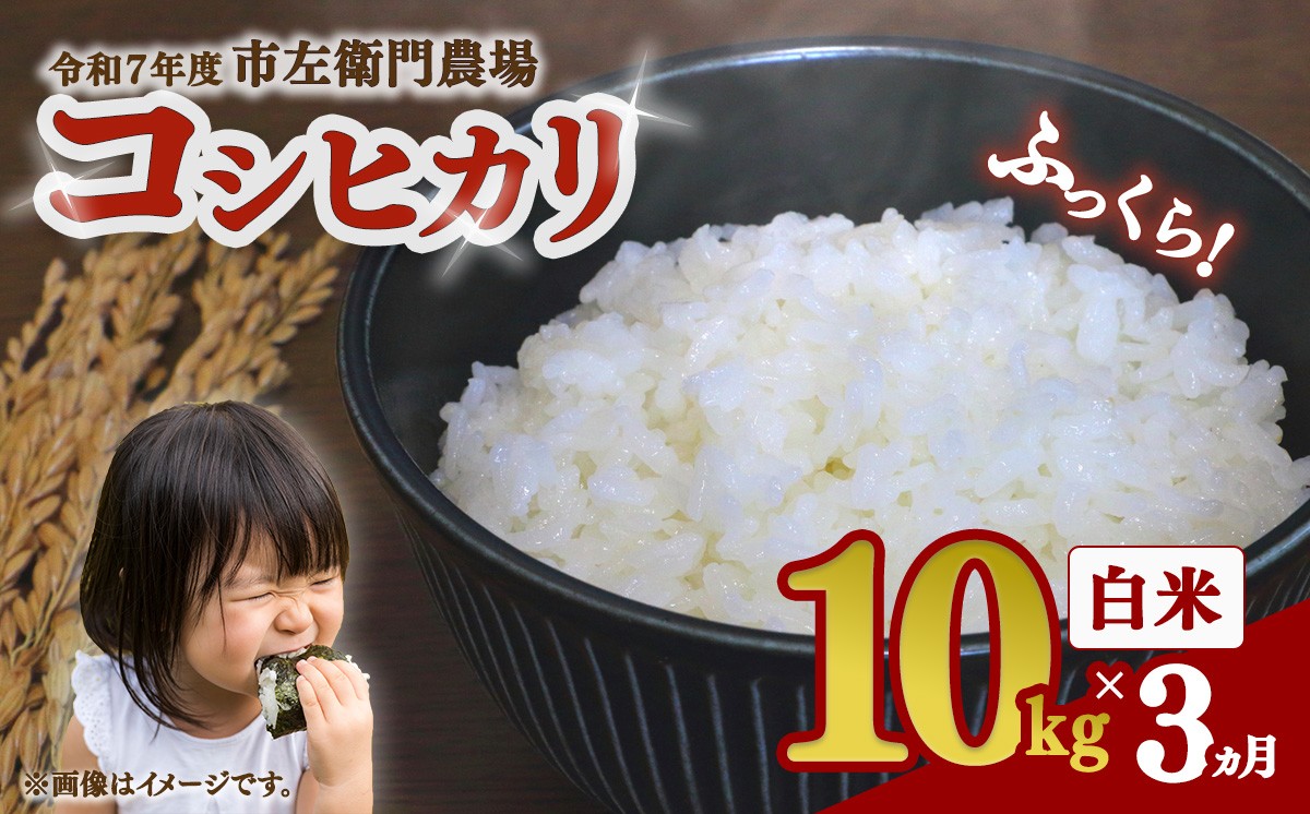 
                  【 3ヵ月 定期便 】令和7年産 コシヒカリ 10kg │ 米 こめ こしひかり ご飯 白米 精米 10キロ 2025年産 茨城県産 茨城県 つくば市
                