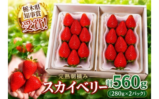 
                  頬張る幸せ★大粒 「スカイベリー」 560g (280g×2P)選べる 回数 定期便| 澳原いちご農園 栃木県 矢板市
                
