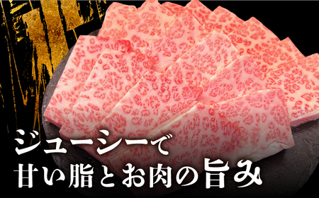 【全国有数のブランド牛】佐賀牛 上カルビ 500ｇ【がばいフーズ】[HCS006]