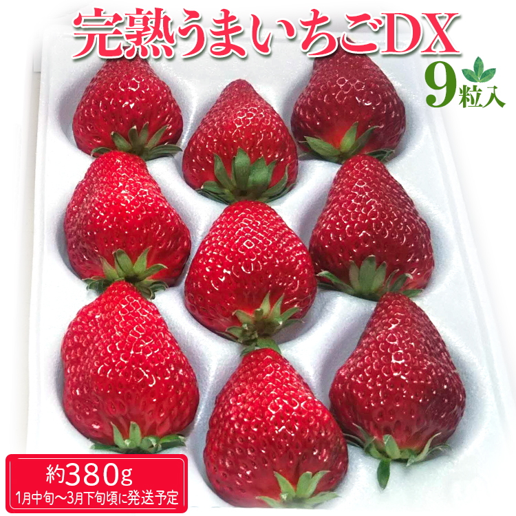 完熟うまいちごデラックス 9粒入 約380g｜いちご イチゴ 苺 フルーツ 果物 国産 茨城県産 完熟 甘い おいしい ギフト 贈答 贈り物 プレゼント お祝い ご褒美 家庭用 記念日 景品 380グラム _FR01 ※2026年1月中旬～3月下旬頃に順次発送予定
