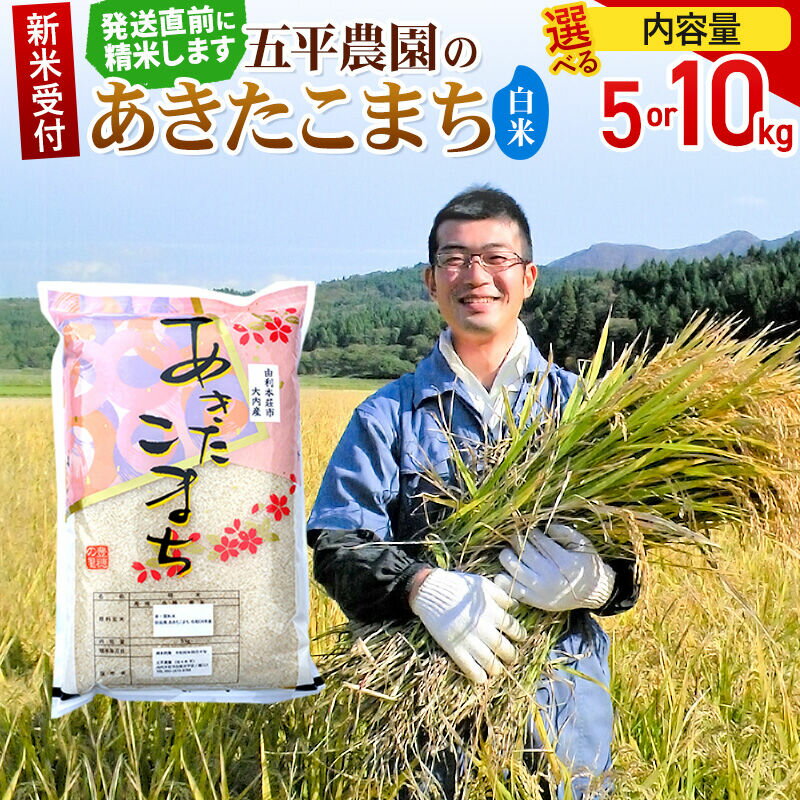 【ふるさと納税】《令和8年産 新米受付》【白米】あきたこまち【選べる容量 5kg／10kg】秋田県産 五平農園の あきたこまち 《12月上旬〜12月下旬発送予定》 [あきたこまち 新米受付 米 お米 こめ 白米 精米 ブランド米 食卓 おにぎり]