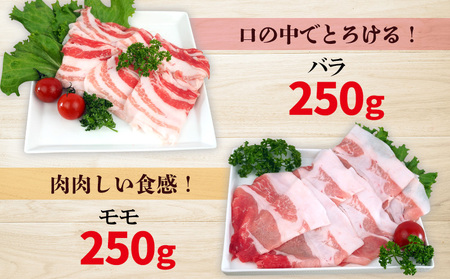 チャ―グー4種食べ比べ1kg（250g×4P） 沖縄 チャーグー アグー ブランド豚 旨み ジューシー ヘルシー 沖縄料理 しゃぶしゃぶ ステーキ ロースカツ バラ モモ ウデ ロース 豚肉 人気 高