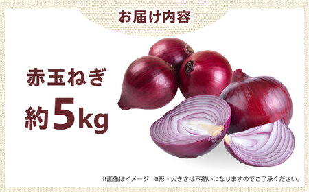 新鮮！しゃきしゃき！ 赤玉ねぎ 5kg （5月下旬から6月頃発送予定） 大阪府高槻市/高槻あぐり[AOCS023]