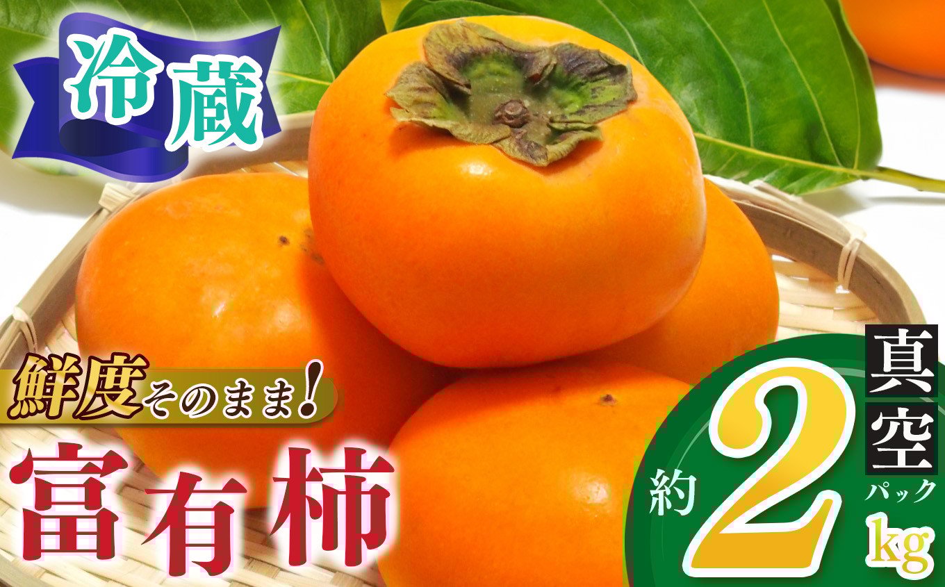 
            冷蔵富有柿 約2kg | フルーツ くだもの 果物 柿 かき カキ  奈良県 五條市 家庭用 富有柿 ふゆうがき フユウガキ 自宅用 どっさり たっぷり 産地直送 青果 国産 人気 送料無料 甘い 贈答 ギフト プレゼント 期間限定 納税 グルメ お取り寄せ
          