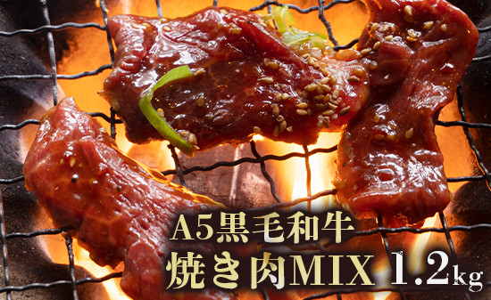 
                  A5 黒毛和牛 焼肉用 切り落とし MIX 1.2kg モモ・カルビ・ロース等 焼肉 タレ漬け 国産牛 冷凍
                